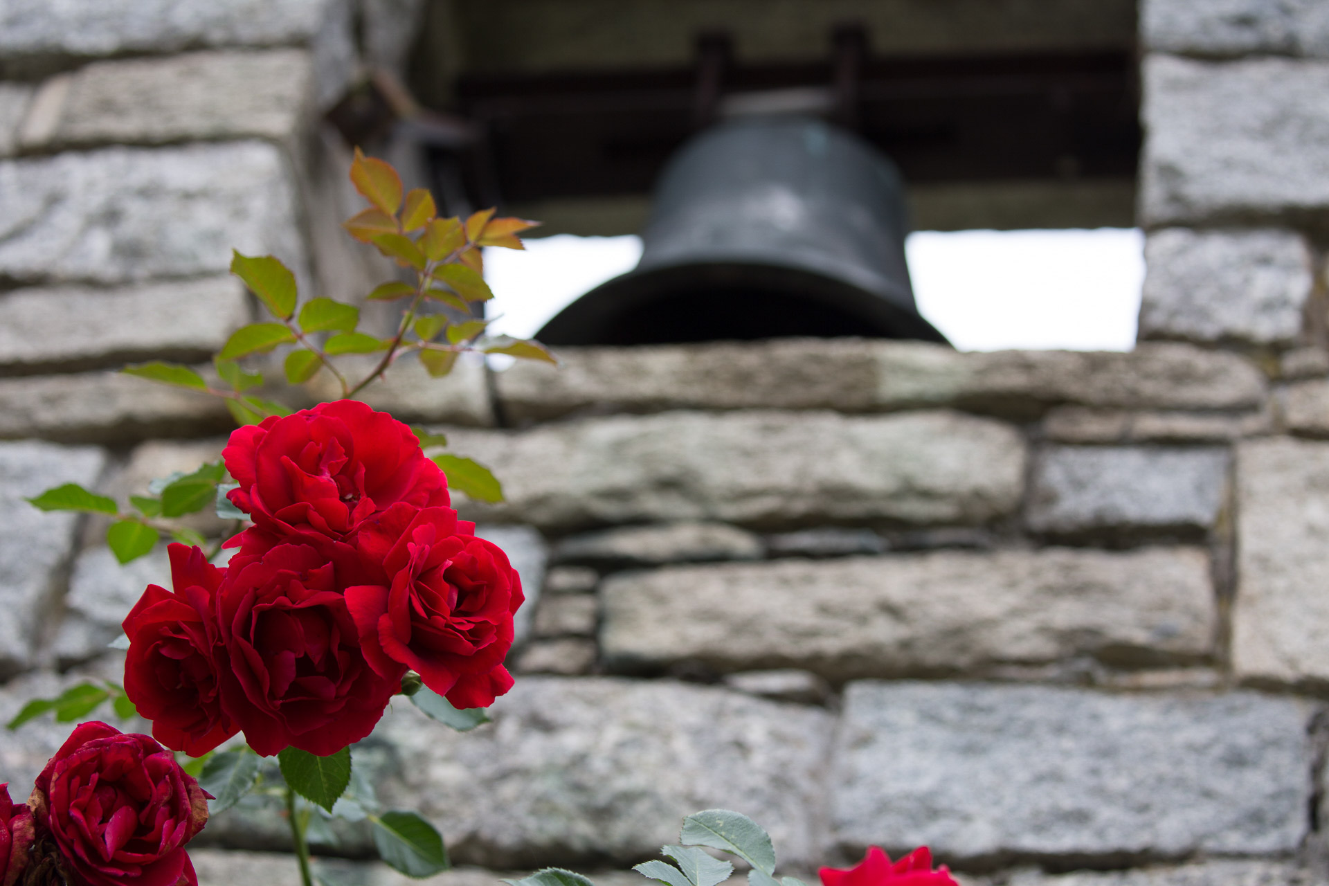 20231014100726 3K6A2176